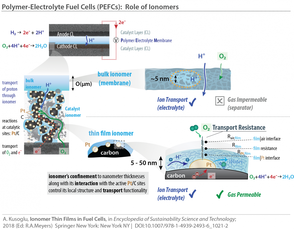 Bulk vs Thin-Film Ionomers in Fuel Cells