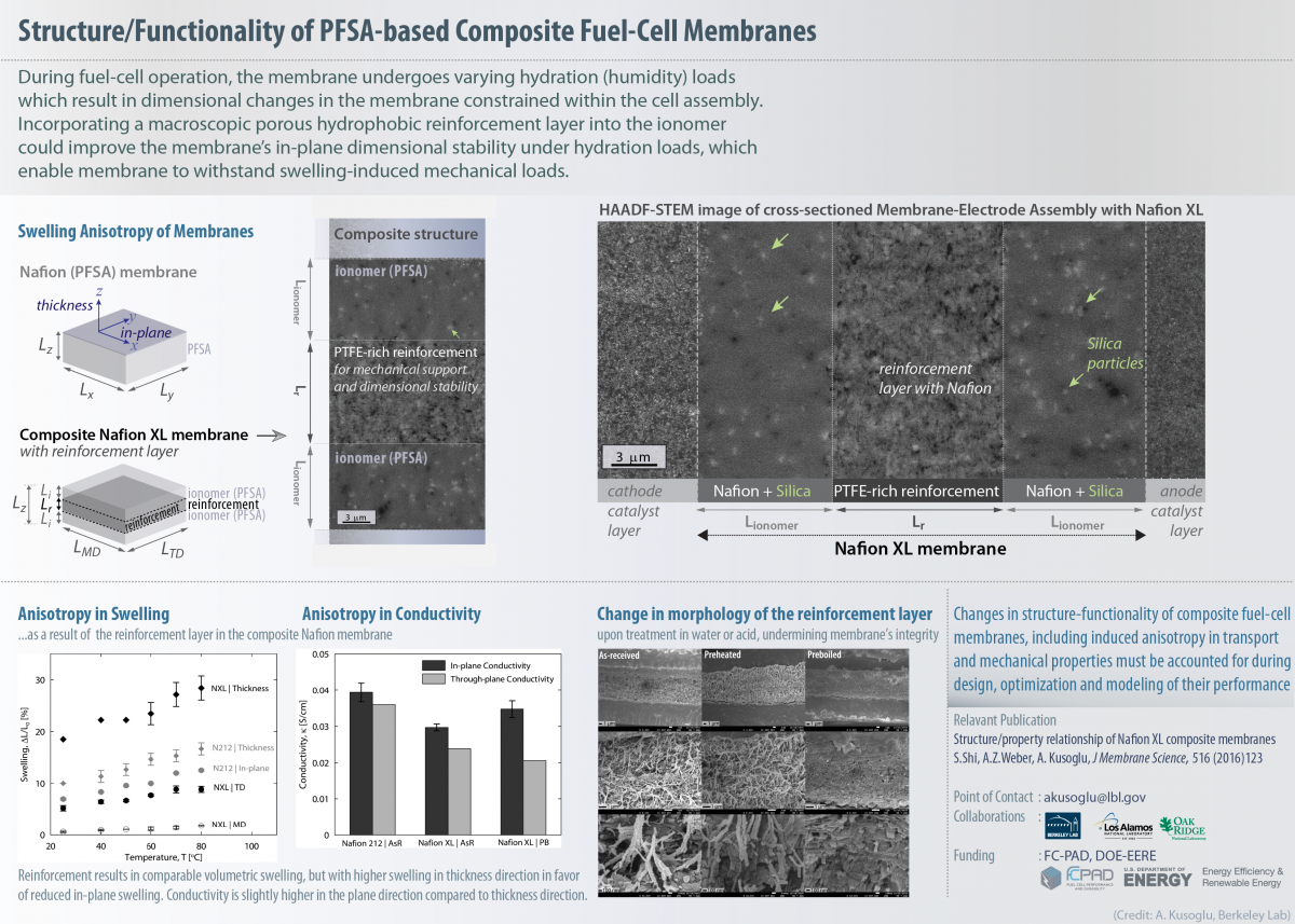 Infographics: Composite Membranes