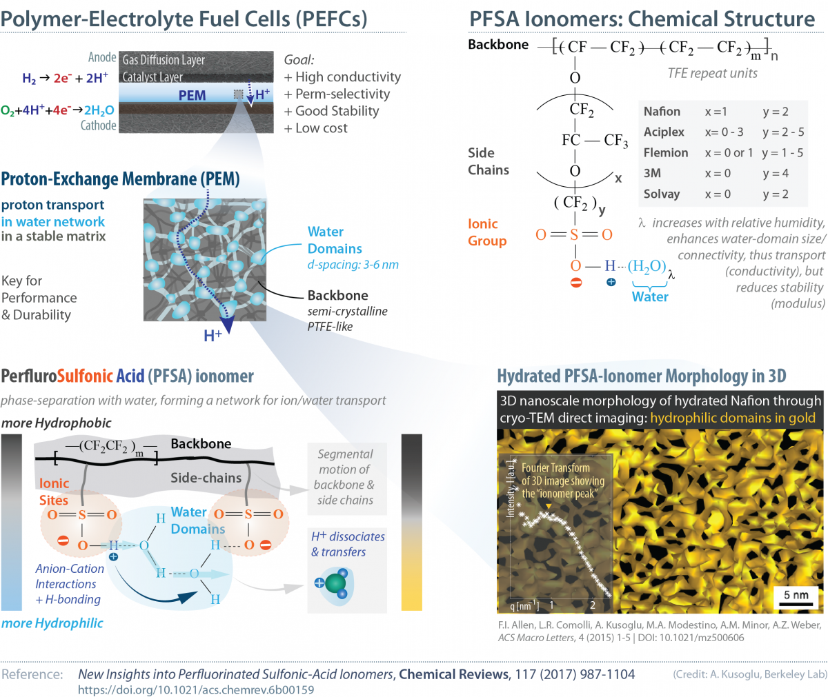 Infographic_PFSA