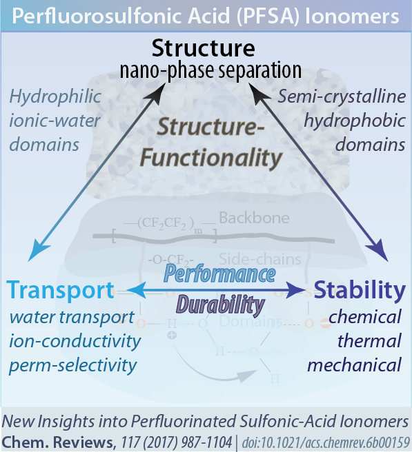 PFSA review image