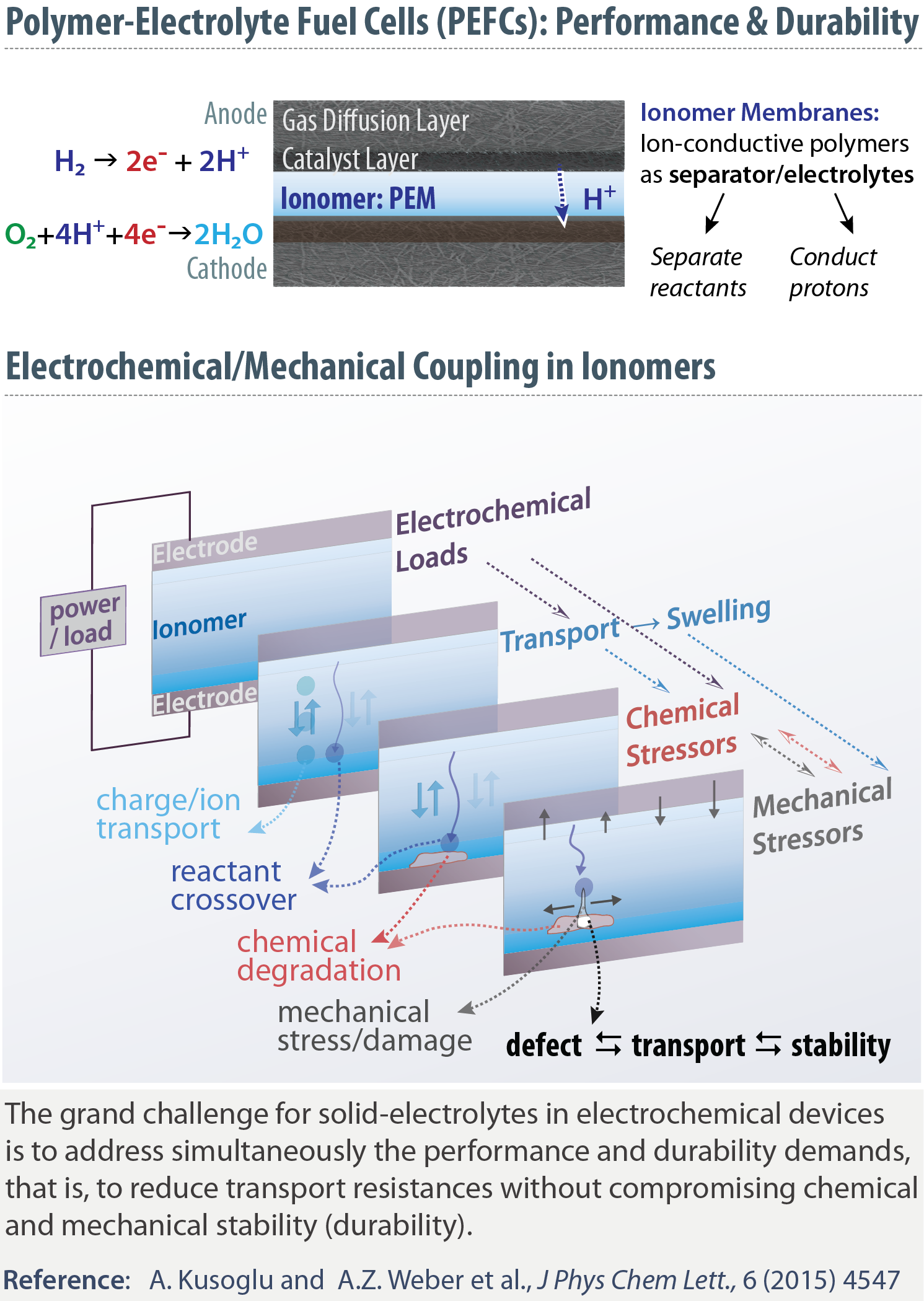 The effect of non-uniform compression on the performance of polymer  electrolyte fuel cells - ScienceDirect